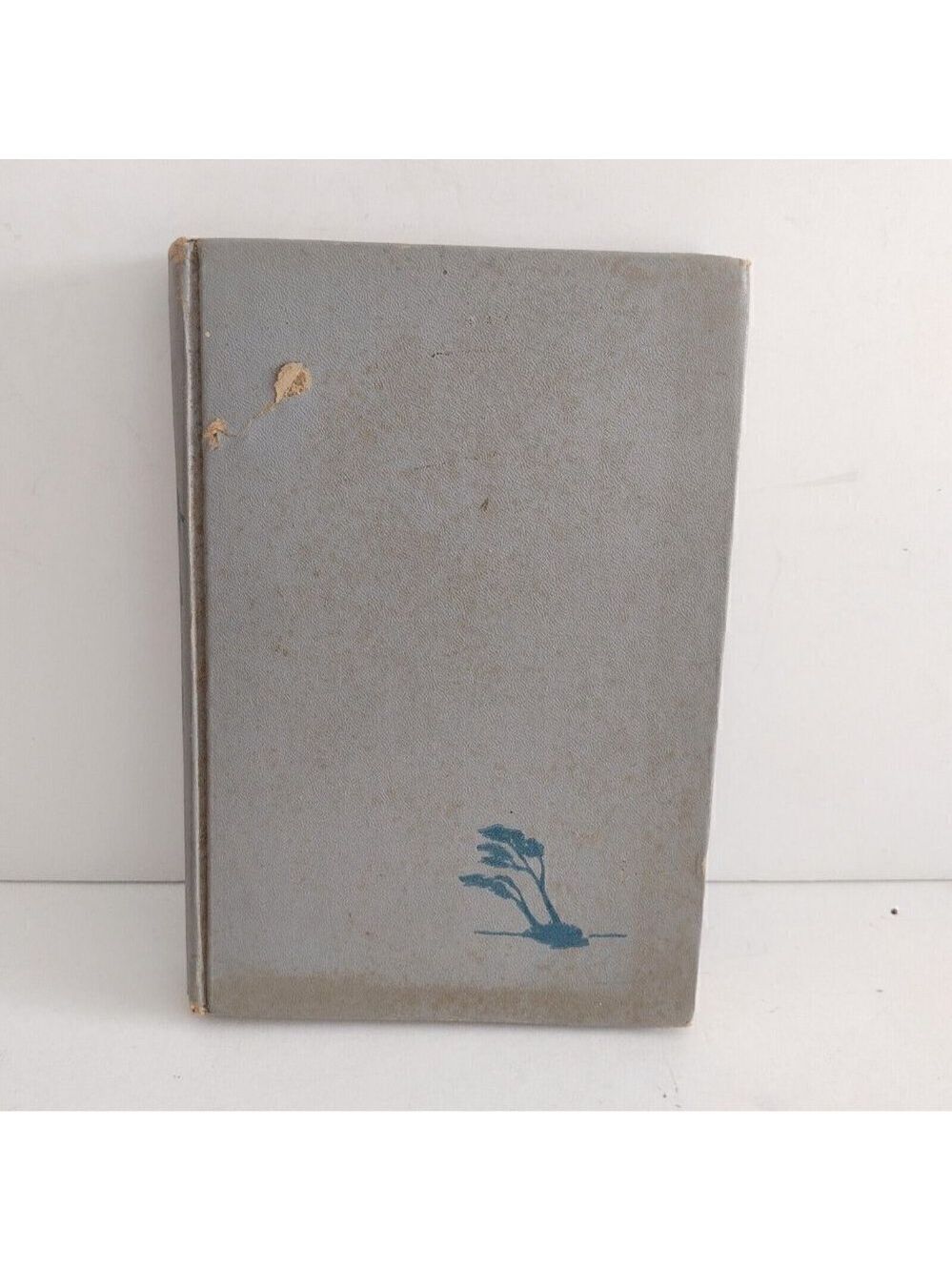 Vintage 1947 The Strumpet Wind Hardcover Book By Gorden Merrick